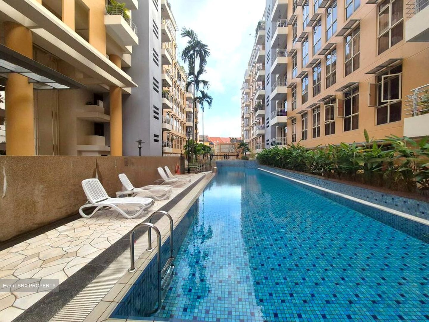 Sims Green (D14), Apartment #489923311